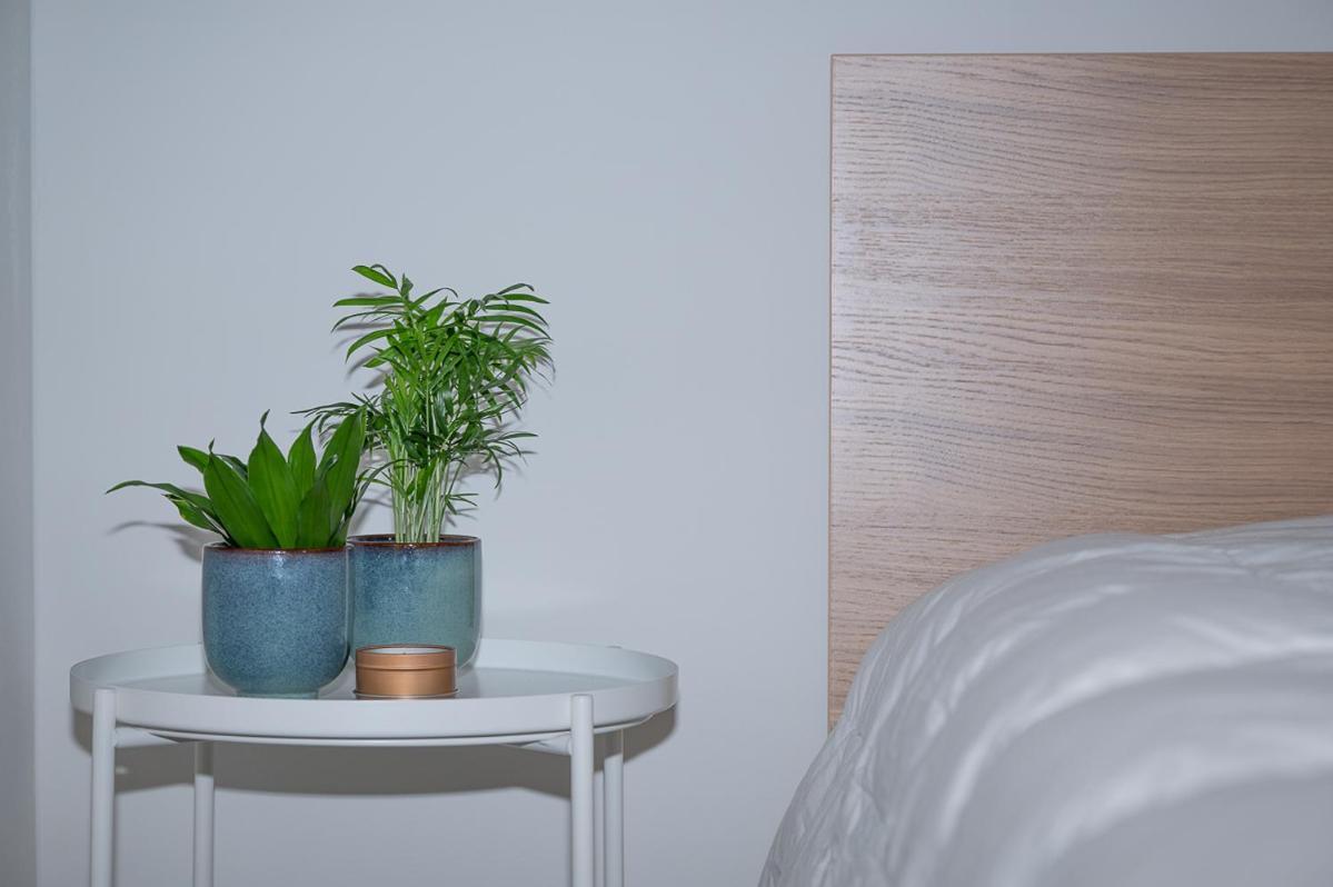 Trendy Apartments As Base To Discover Γάνδη Εξωτερικό φωτογραφία