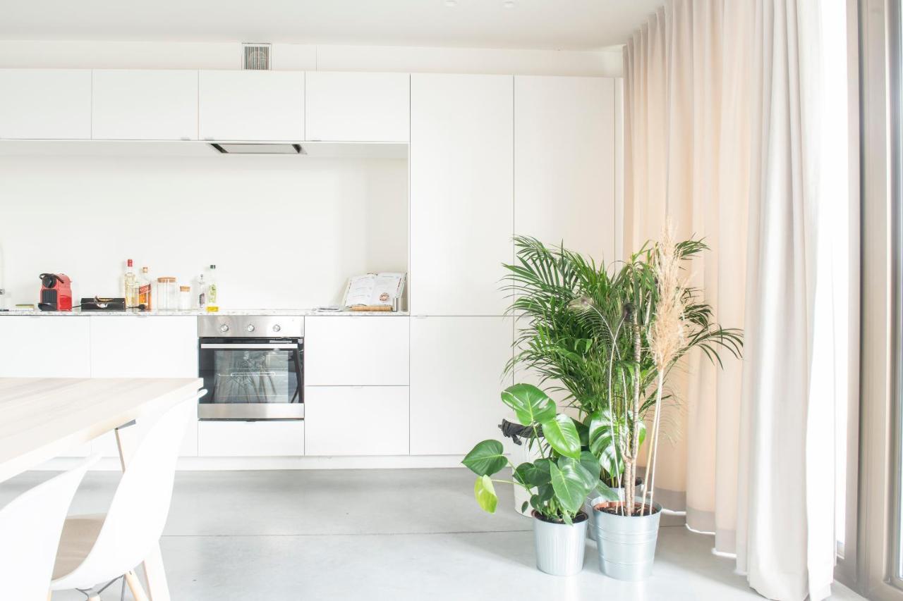 Trendy Apartments As Base To Discover Γάνδη Εξωτερικό φωτογραφία