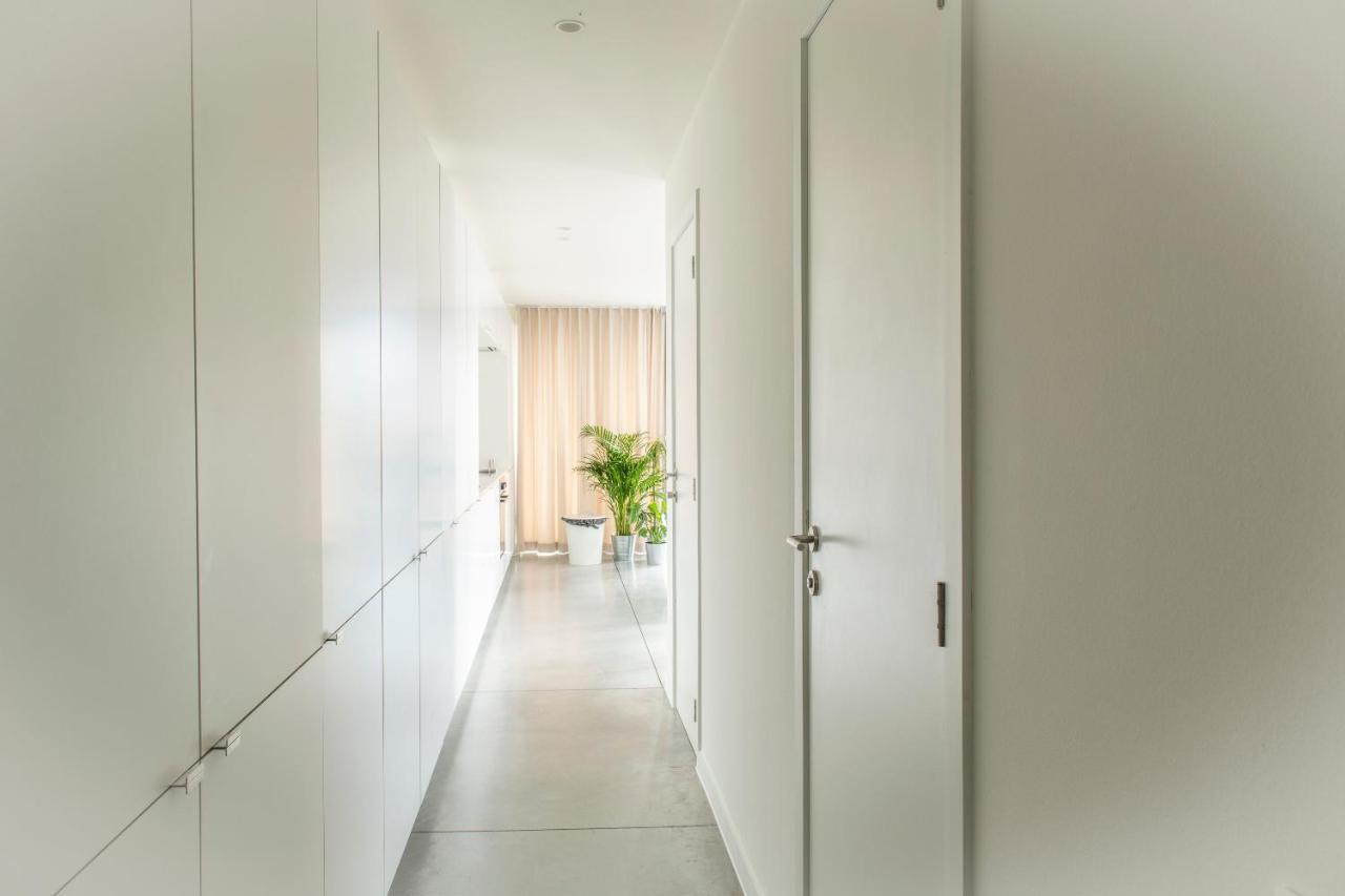 Trendy Apartments As Base To Discover Γάνδη Εξωτερικό φωτογραφία