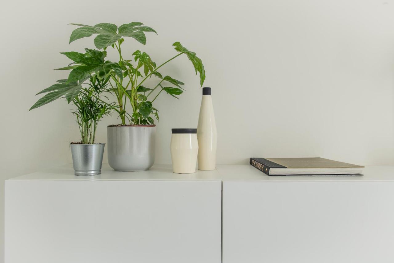 Trendy Apartments As Base To Discover Γάνδη Εξωτερικό φωτογραφία
